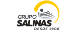 Grupo salinas